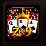 zee9 Game